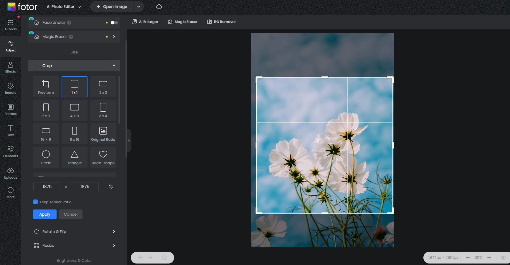 crop the white petaled flowers image to 1 by 1 ratio on fotor
