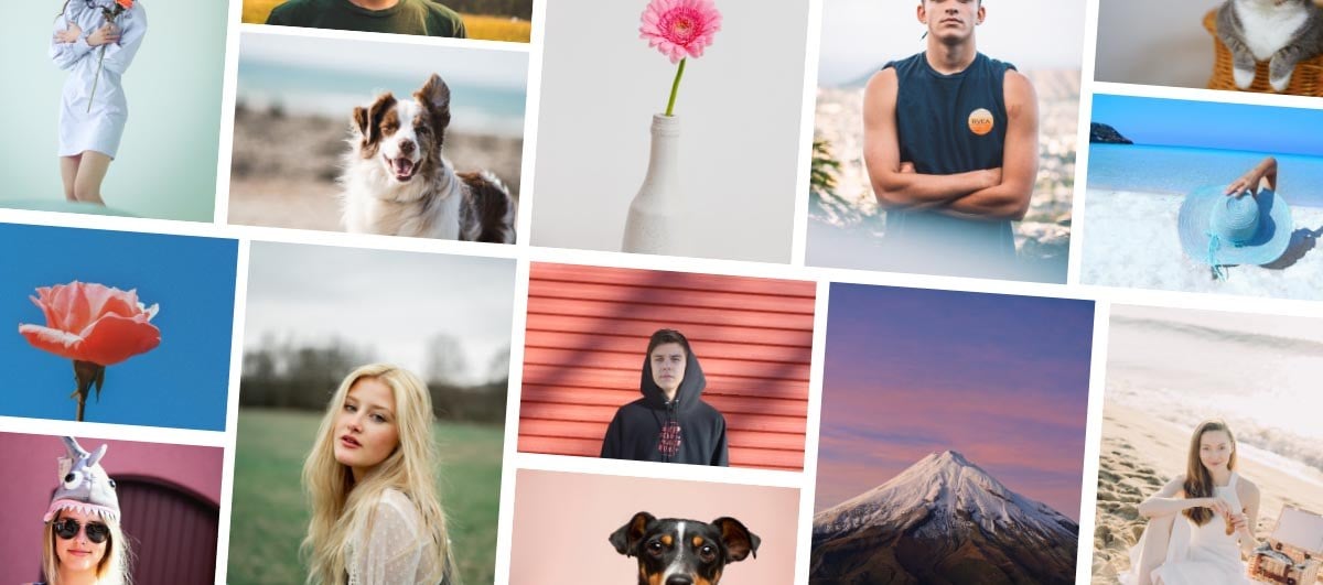 Instagram profile photo from gallery