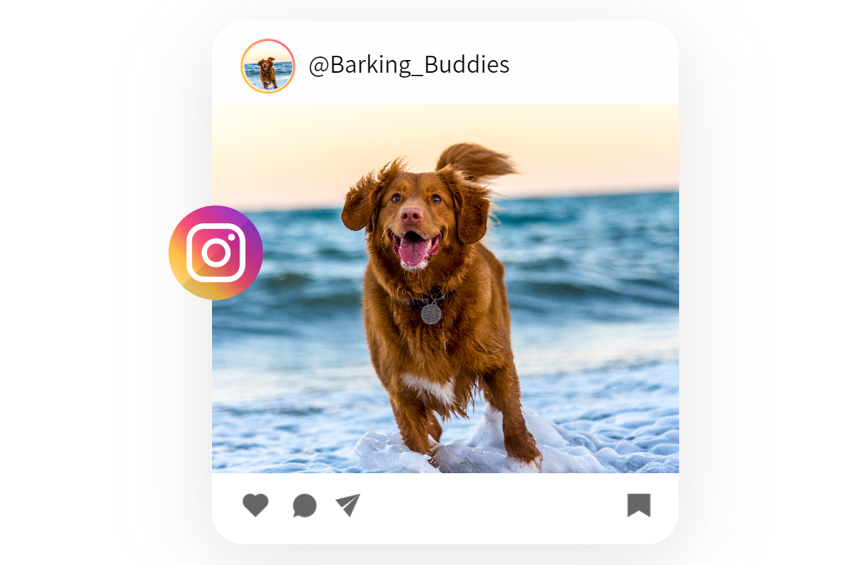 160+ Best Instagram Username Ideas for Inspiration (2023) Fotor