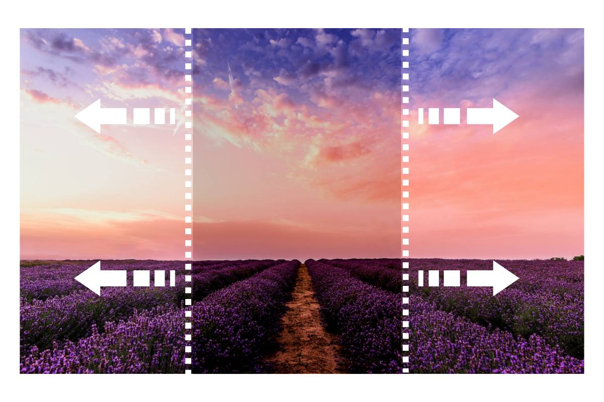 extend the background of the lavender fields