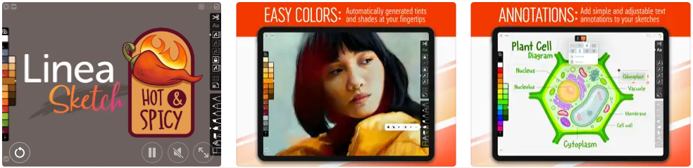 features of linea sketch ipad