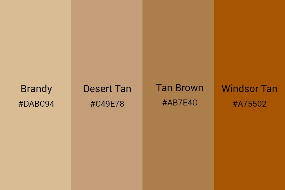 All You Need to Know about Tan Color