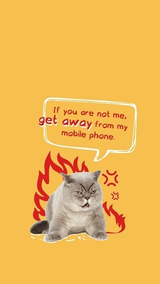 funny angry cat lock screen wallpaper