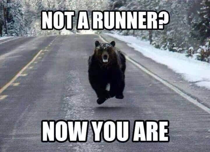 funny running bear meme with motivational caption