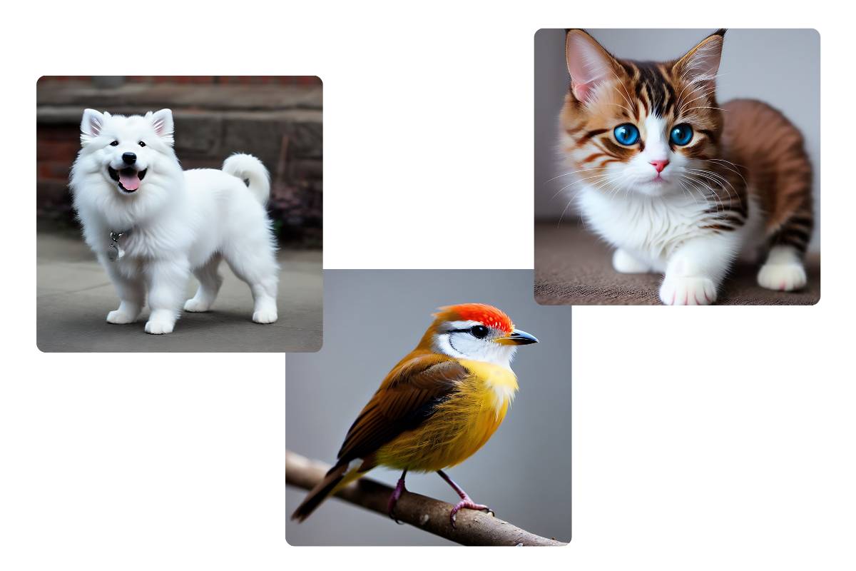 random samoyeed cat and bird images made by fotor random image generator
