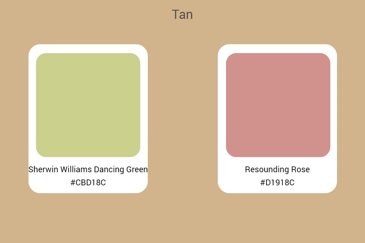 All You Need To Know About Tan Color: An Ultimate Guide