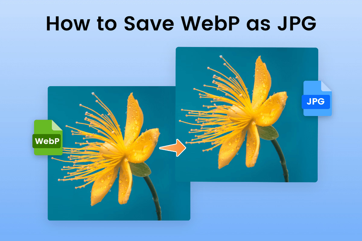 how to save webp as jpg: step-by-step guide