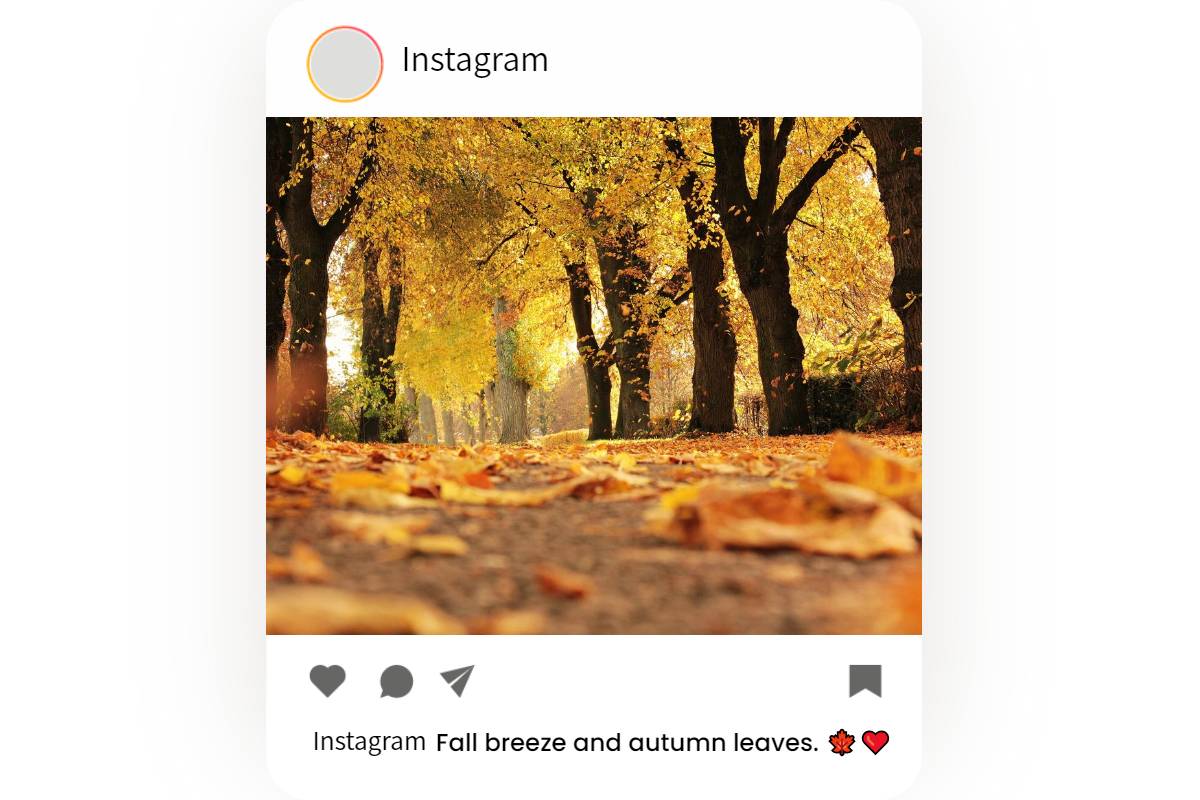 instagram post with fall caption