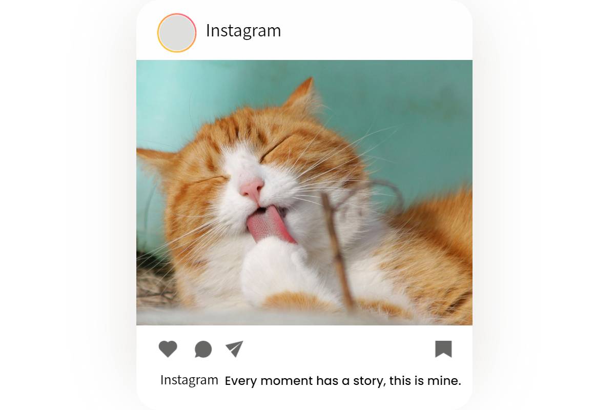 instagram post with pov captions