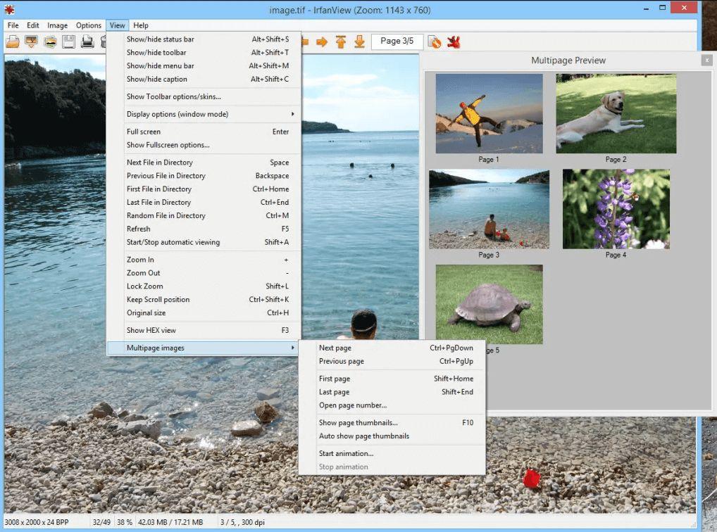 irfanview interface screenshot