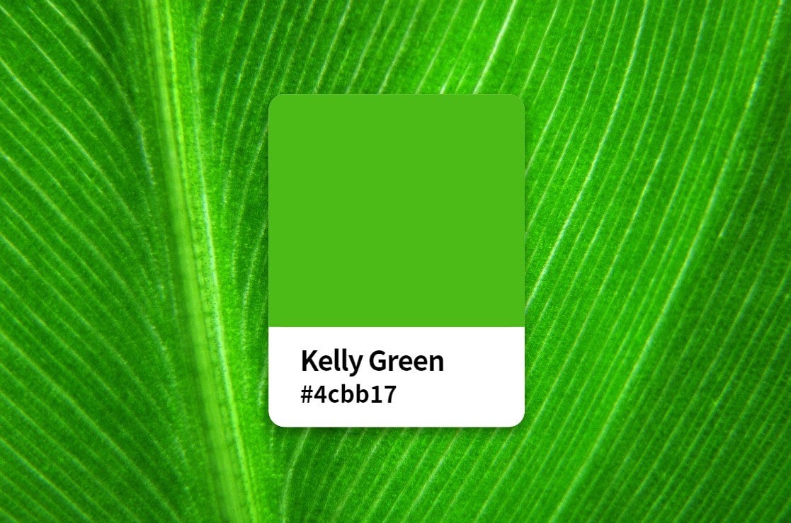kelly green color and its hex code