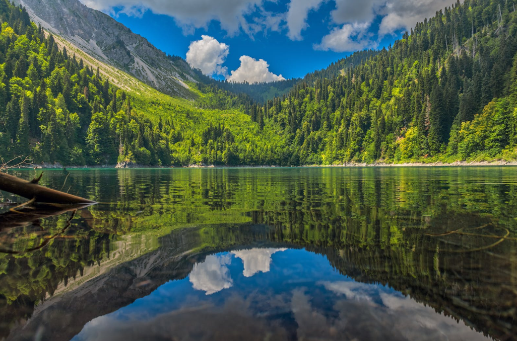 mirror effect of the green landscape