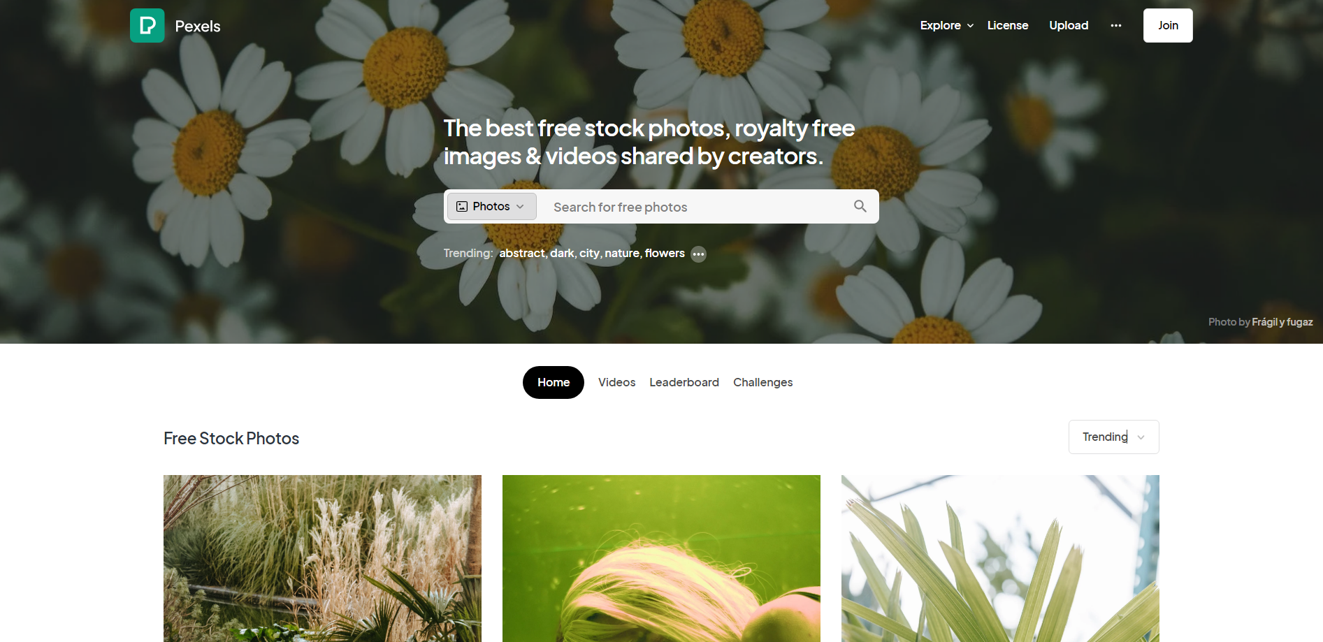 The 8 best free stock photo sites