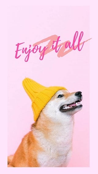 pink dog with cat lock screen wallpaper