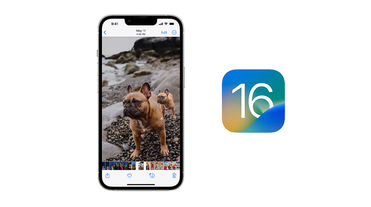 remove background from image on iPhone with iOS 16
