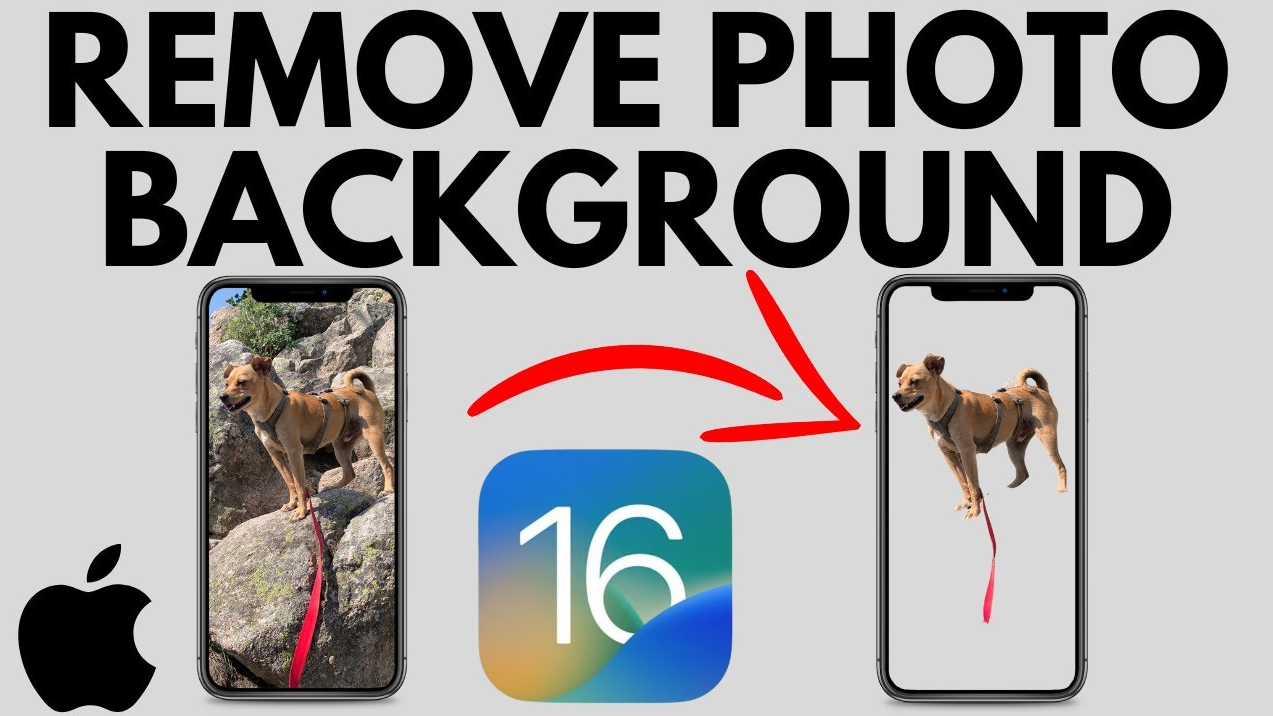 remove image background in iPhone Photos APP with iOS 16