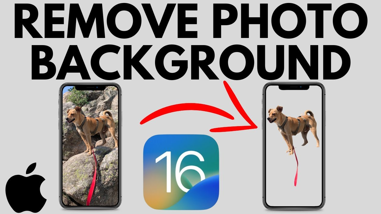 How To Remove Background From Image On IPhone IPad With IOS 16 Fotor