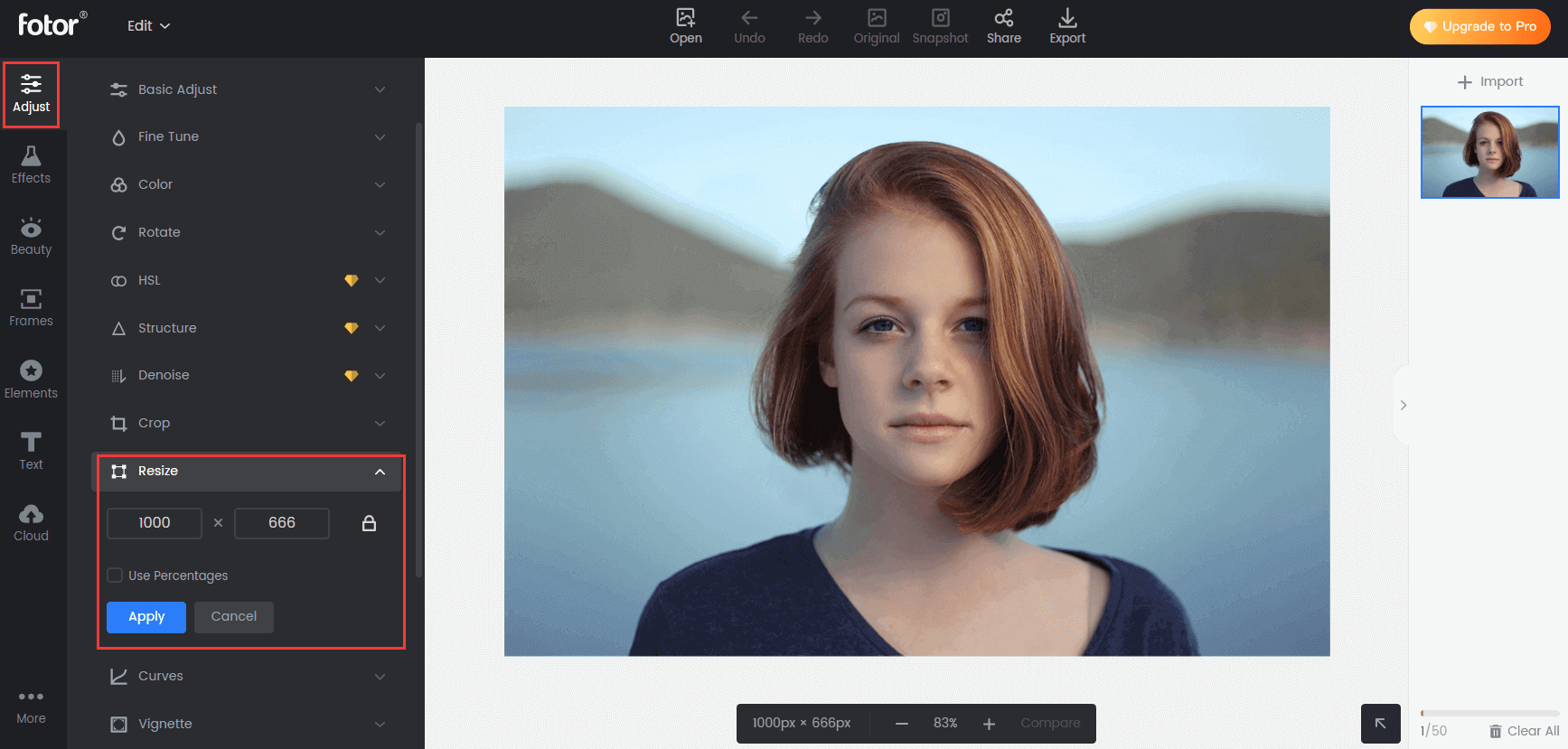 How to Make a Picture Bigger without Losing Quality, Guide