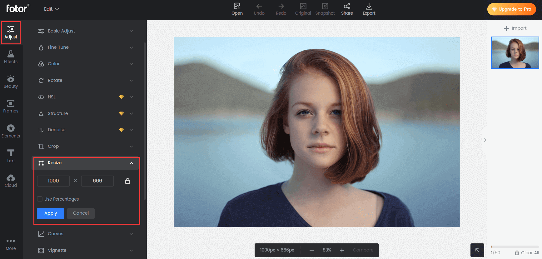 How To Make A Picture Bigger Without Losing Quality Guide Fotor