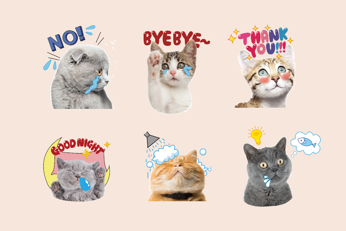 six cat stickers to express feelings