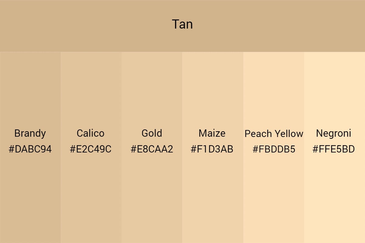 Color Beige Vs Tan