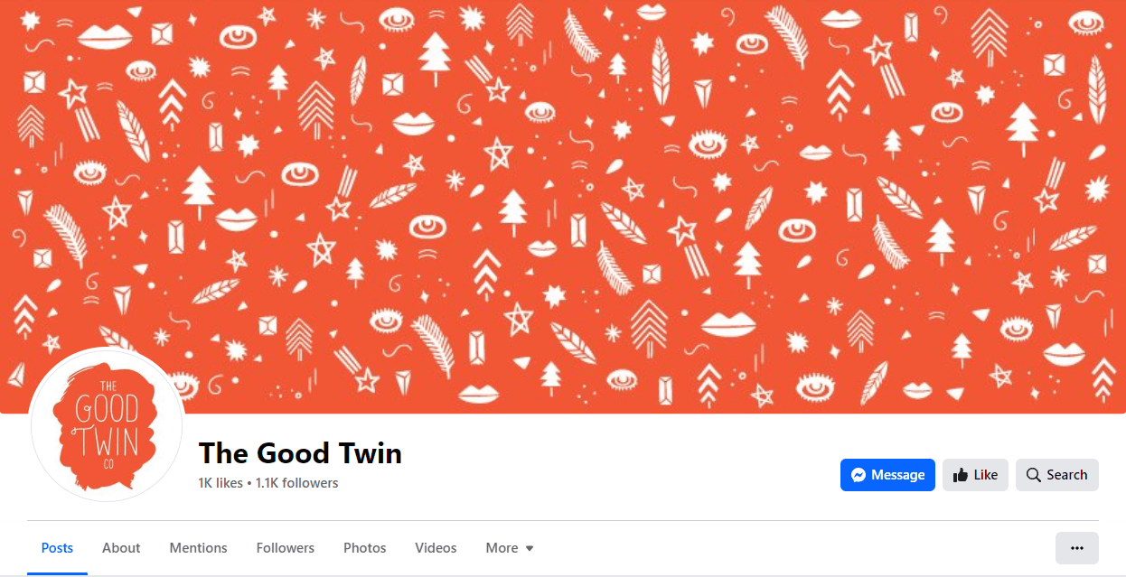 the good twin facebook cover
