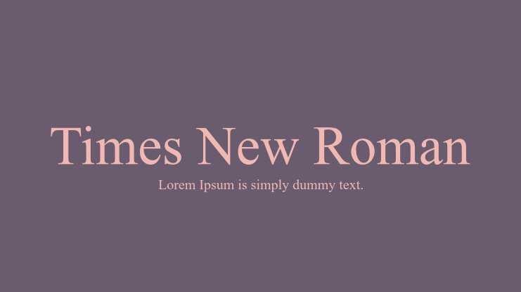 the times new roman font