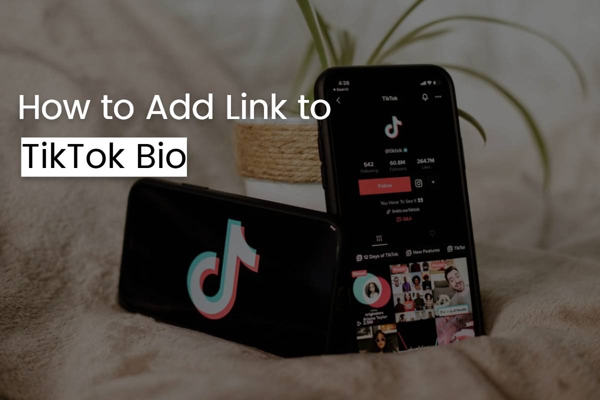 How To Add Link To Tiktok Bio Quick Guide In 2023 Fotor 2686