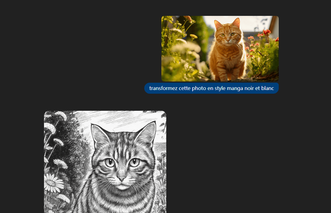 transformez cette photo en style manga noir et blanc