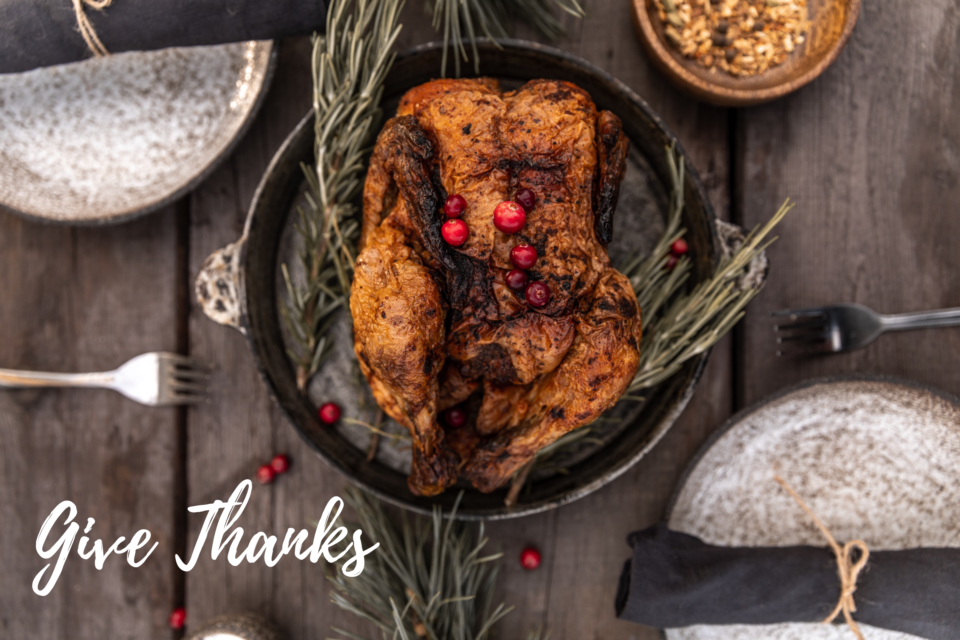 turkey with thanksgiving caption