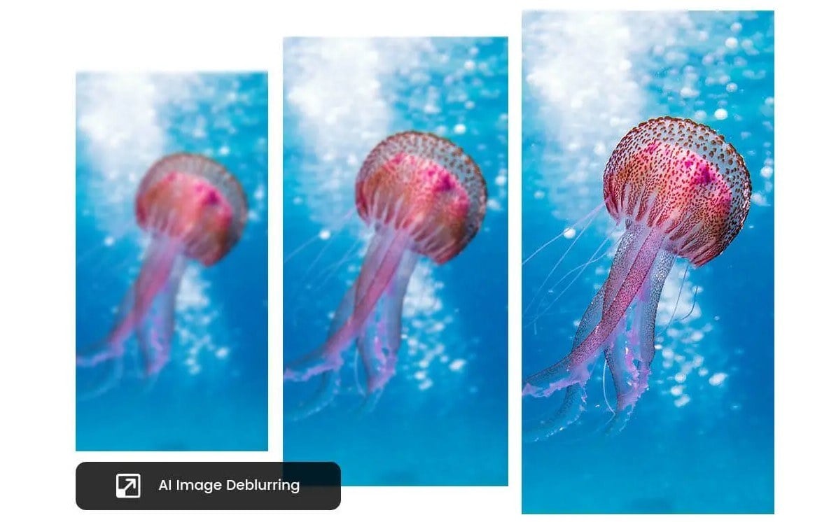 unblur jellyfish with fotor ai image deblurring