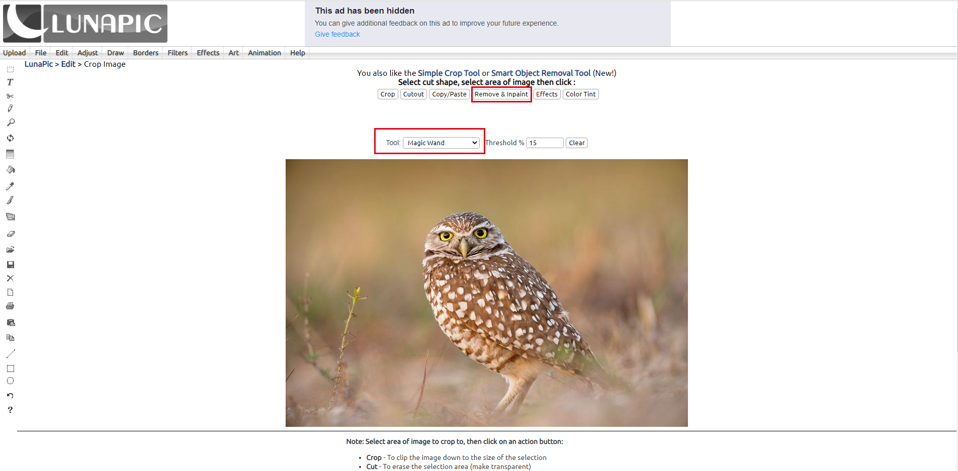 use lunapic's magic wand tool online to erase a part of bird image