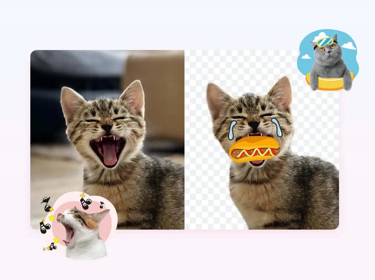 four cats with several cute stickers