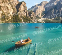 Miniatur bild eines bildes fluges mit wasserzeichen