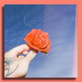 Add a shaded photo frame to a photo of a hand holding an orange flower