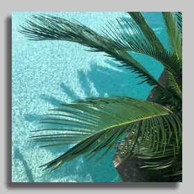 Add a shadow frame to a photo of a tree by a swimming pool