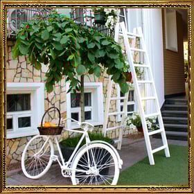 Add wooden frame to a photo of a homes front door decoration