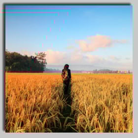 Adding a shadow photo frame to a photo of a person in a field