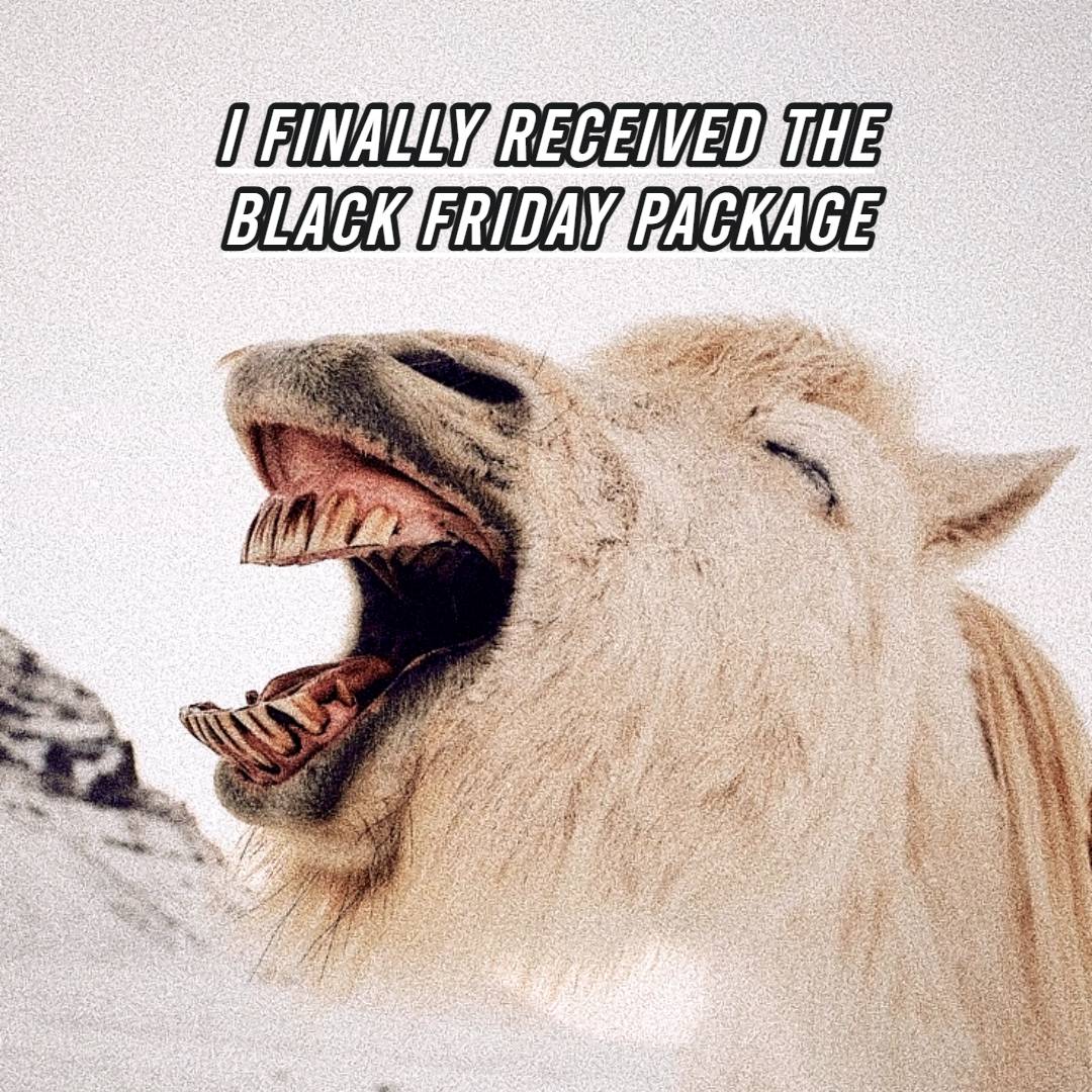 Black Friday Meme Happy