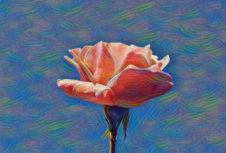 cartoon flower image