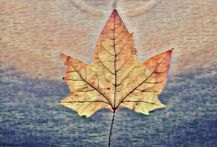 cartoon leaf