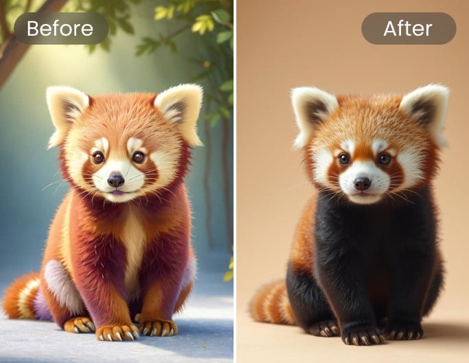 Cartoon Animal to Real