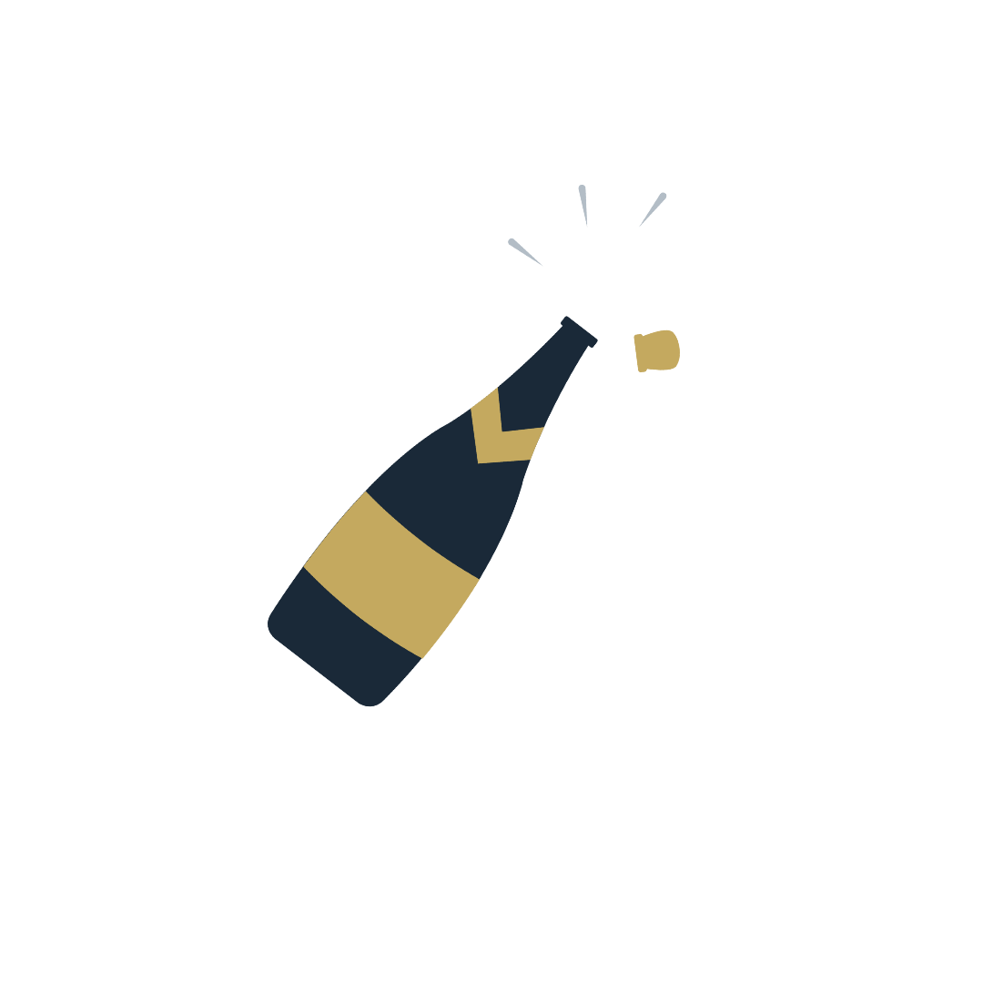 Champagne Cork Emoji