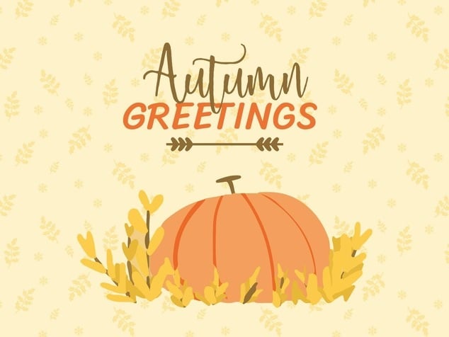 Cute cartoon Thanksgiving card