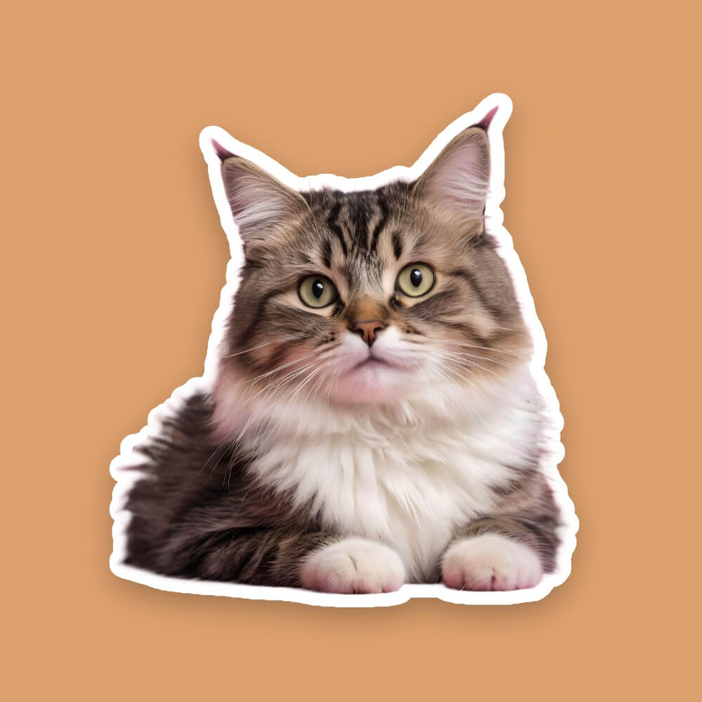 Die cut face sticker