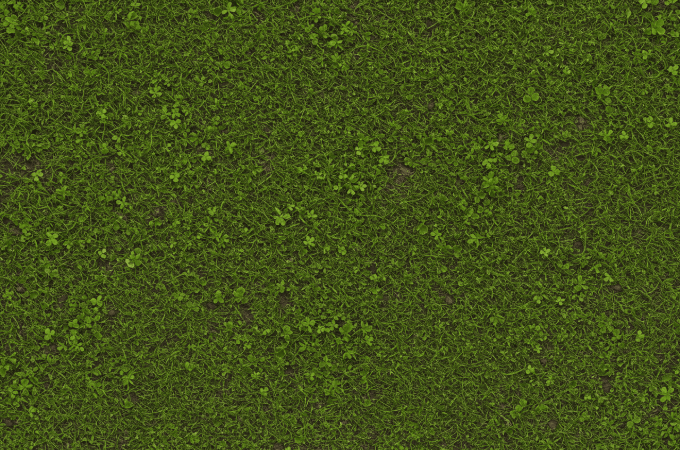 Grass Texture