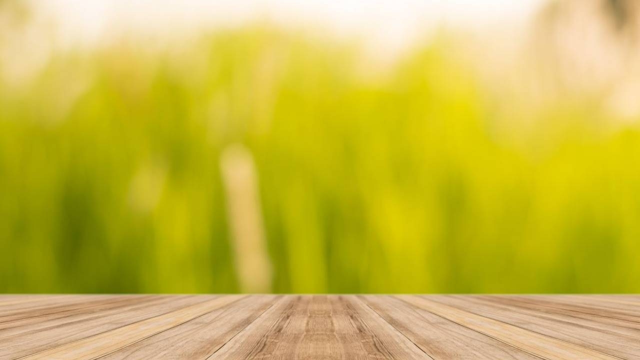 Scène de nature avec plancher en bois vide pour présentation de produit