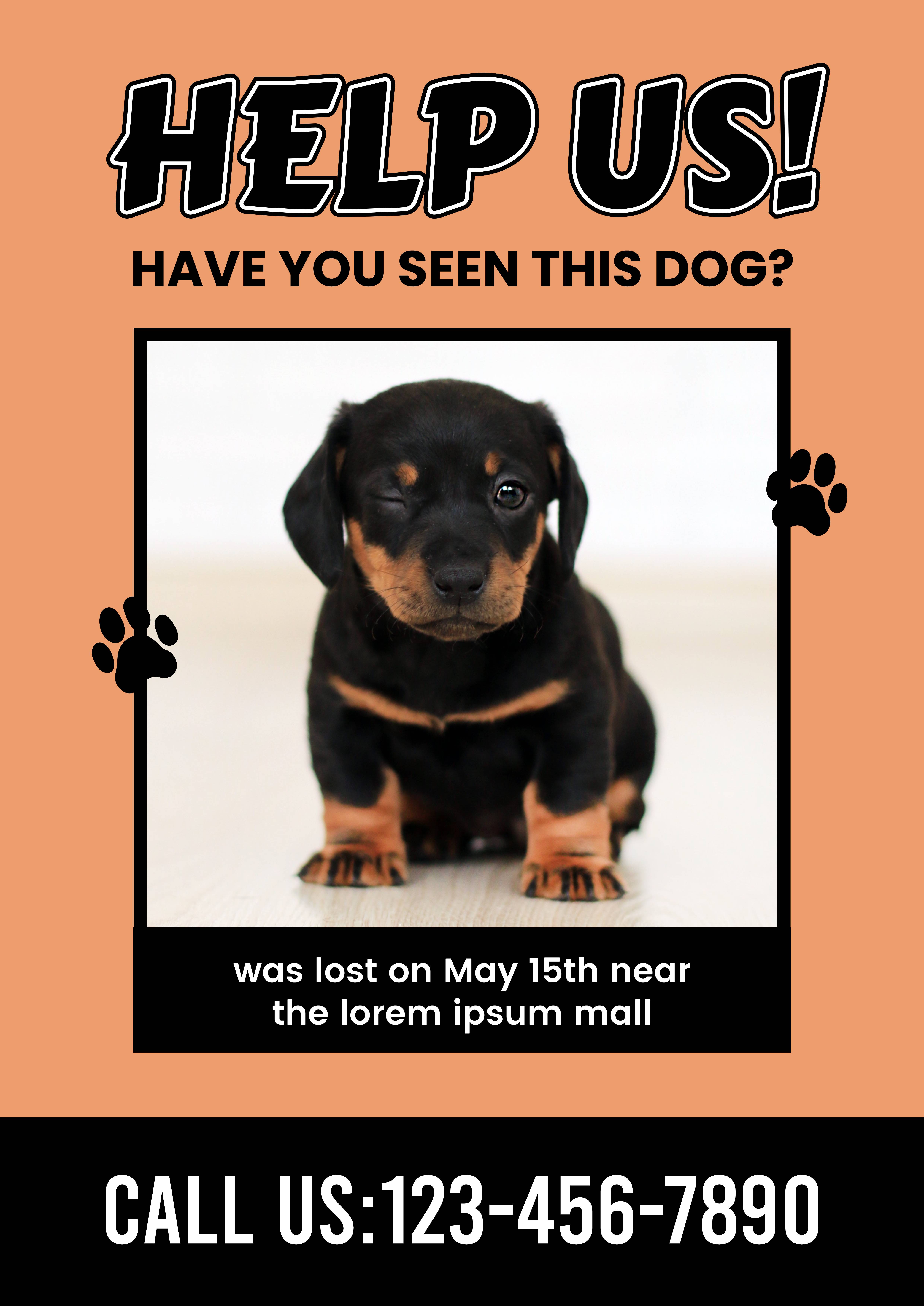 Orange colored missing dog notice poster template