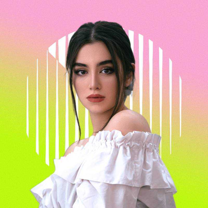 Perfil de Gradiente Verde Rosa Modelo de imagem