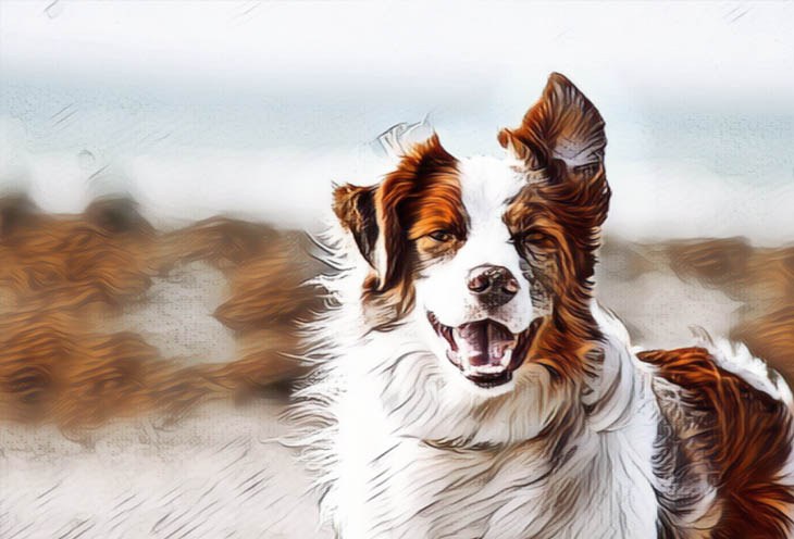 oil painting portrait of a dog